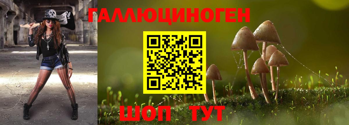 Псилоцибиновые грибы Magic Shrooms  Вход с VPN  Вышний Волочёк 
